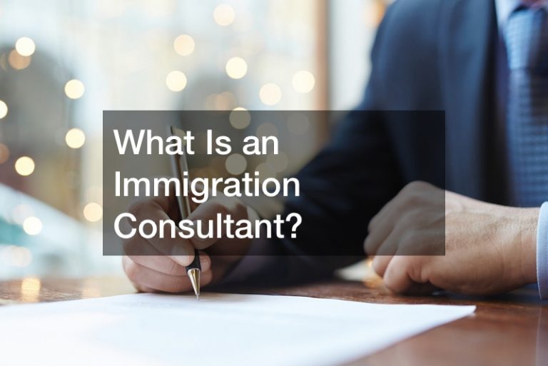 What Is an Immigration Consultant?